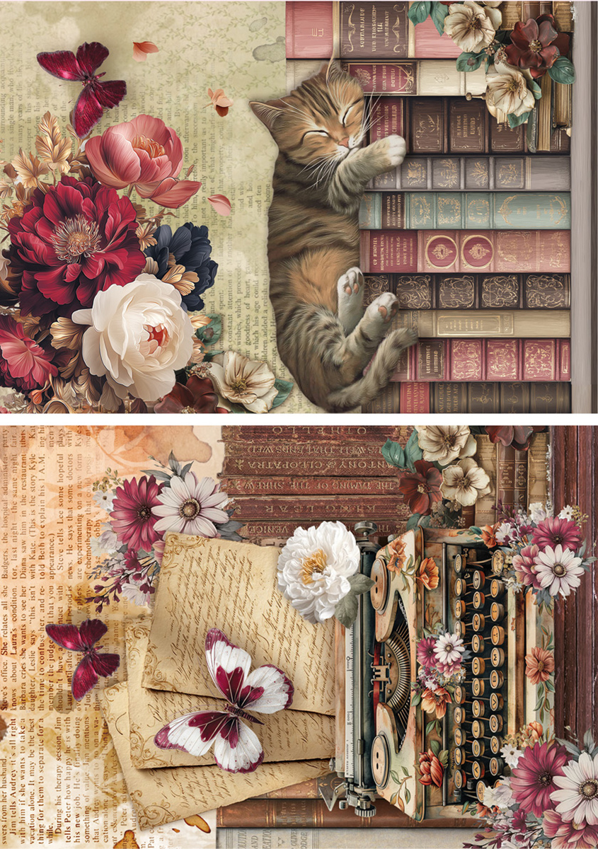 Book Lovers 2 Rice Paper Pack
