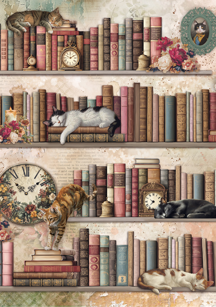 Book Lovers 2 Rice Paper Pack