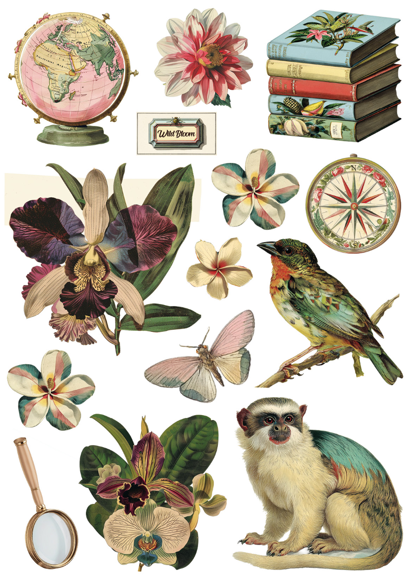 Jungle Vibes Rice Paper Pack