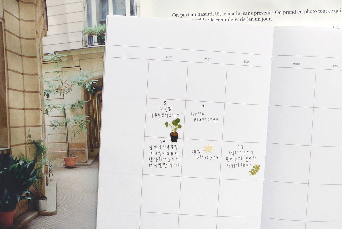 Daily Deco Little plant shop