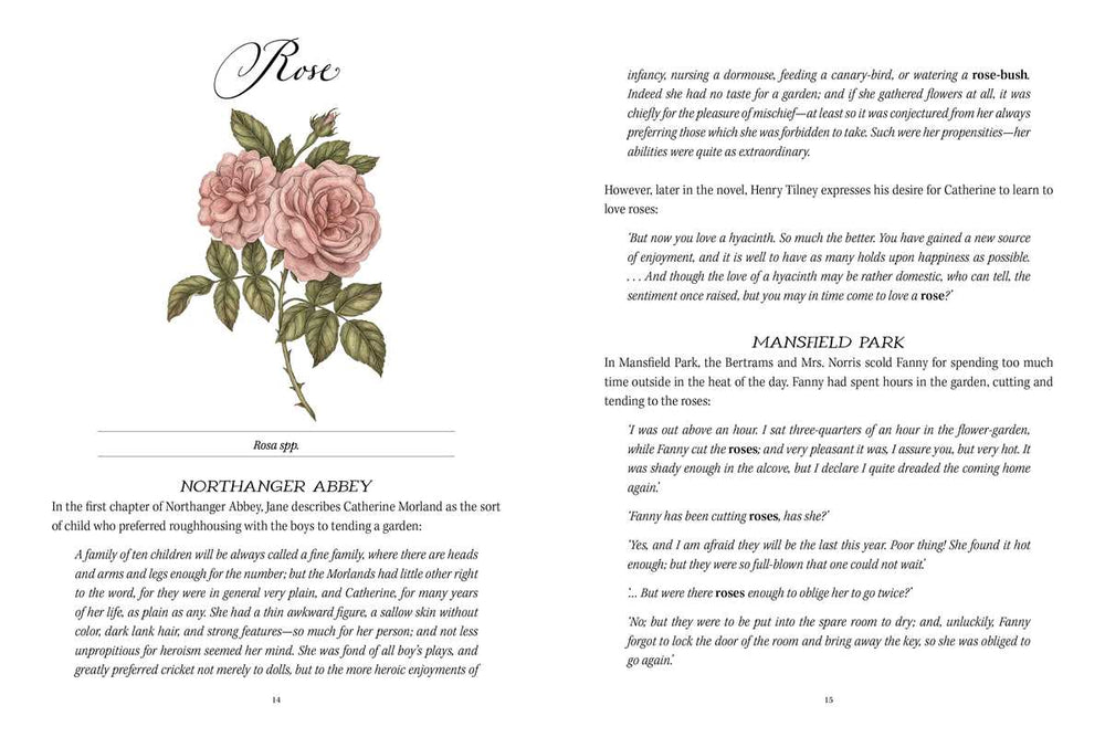 Jane Austen's Garden by Molly  Williams