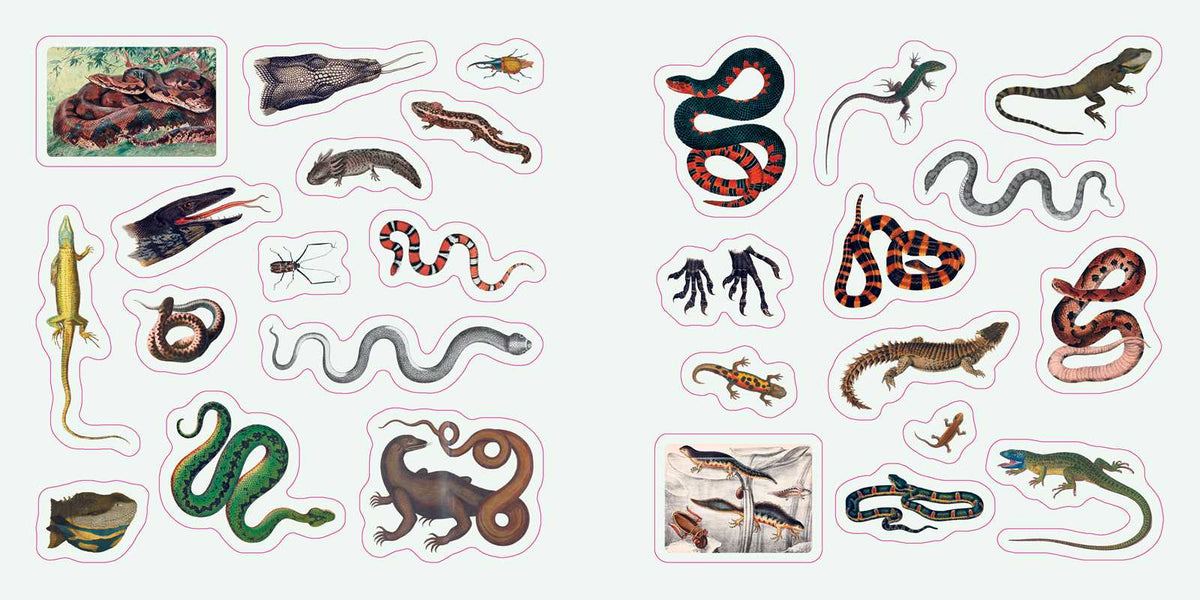 Fantastic Creatures: A Smithsonian Sticker Book by The Smithsonian Institution