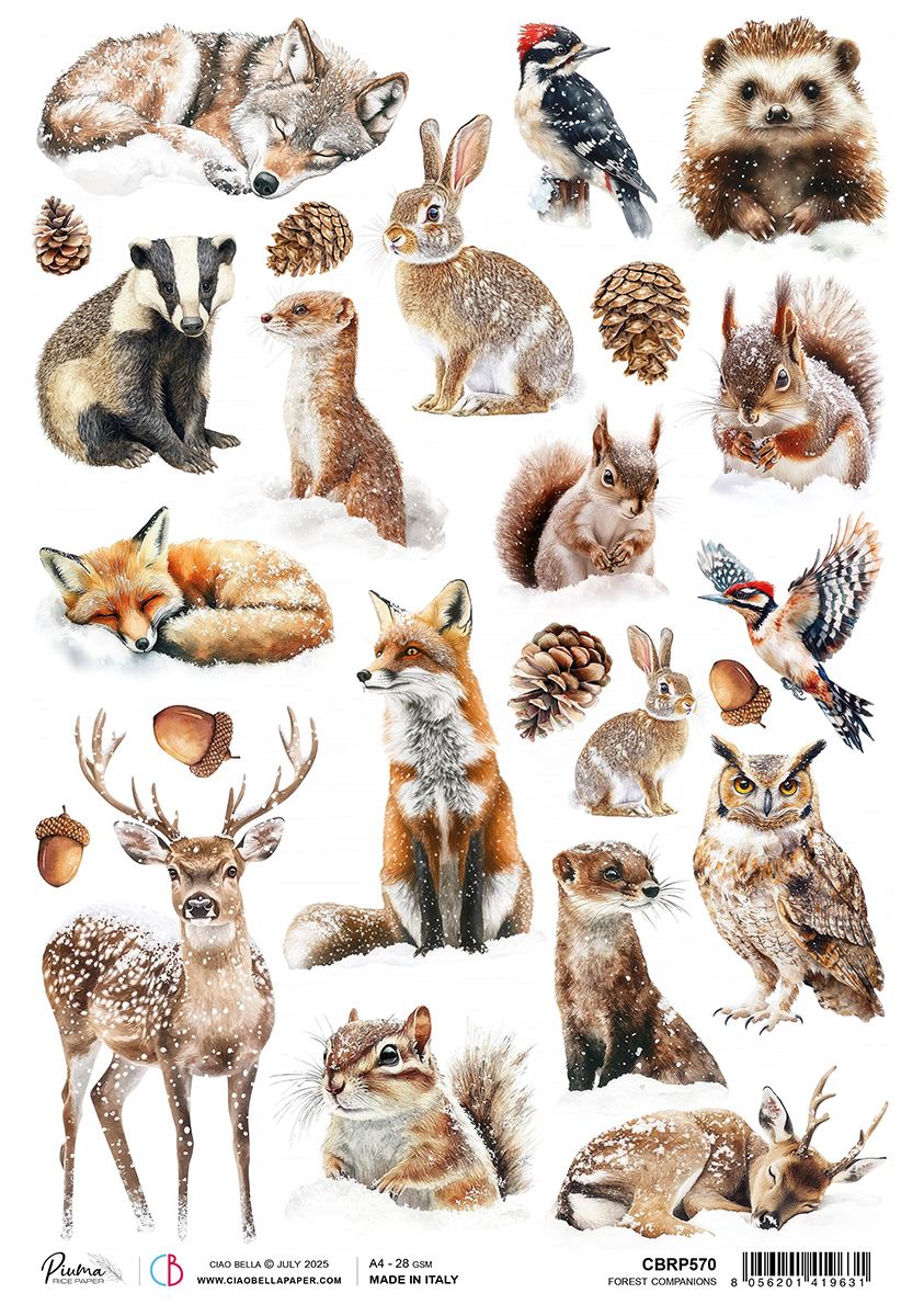 Forest Companions Rice Paper