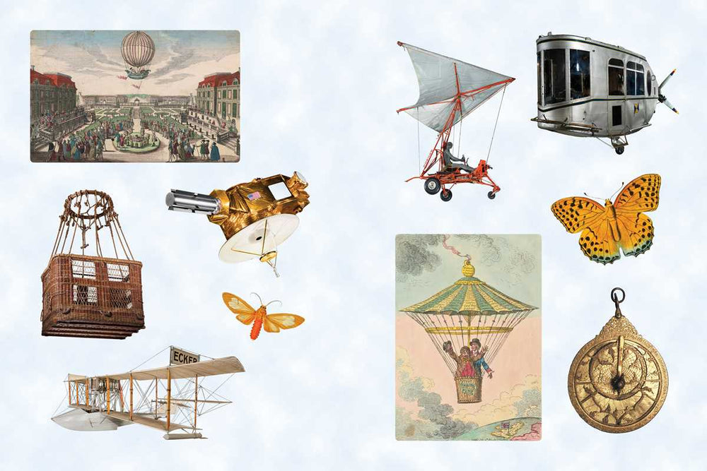 Cabinet of Curiosities II by Smithsonian  Institution