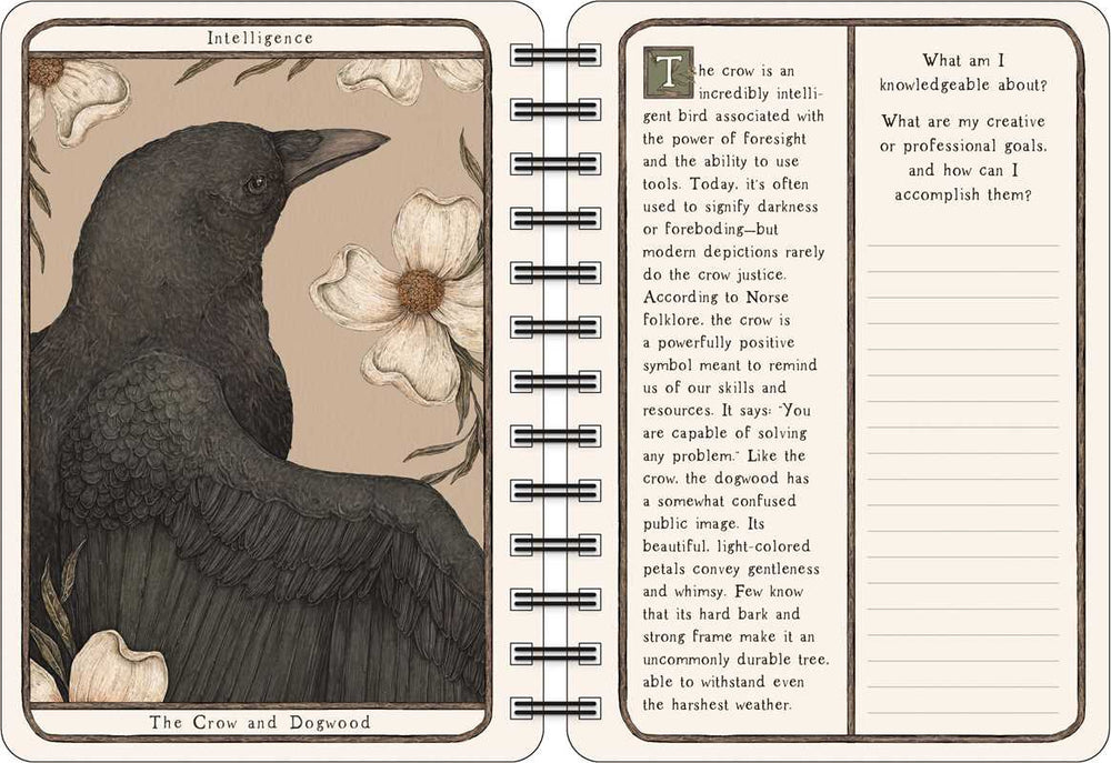 Woodland Wardens Weekly Planner 2027