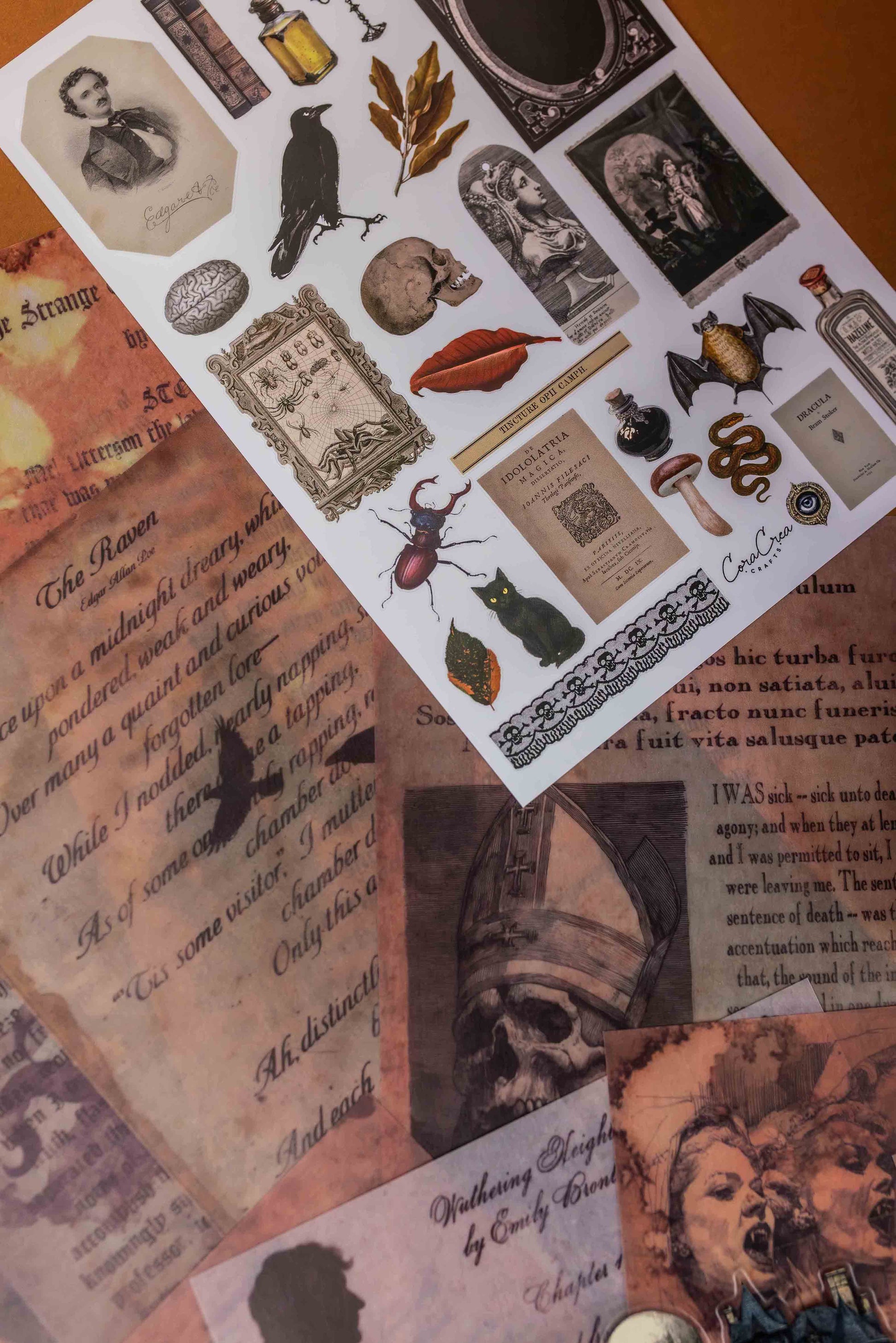 Poe & Gothic Writers Box