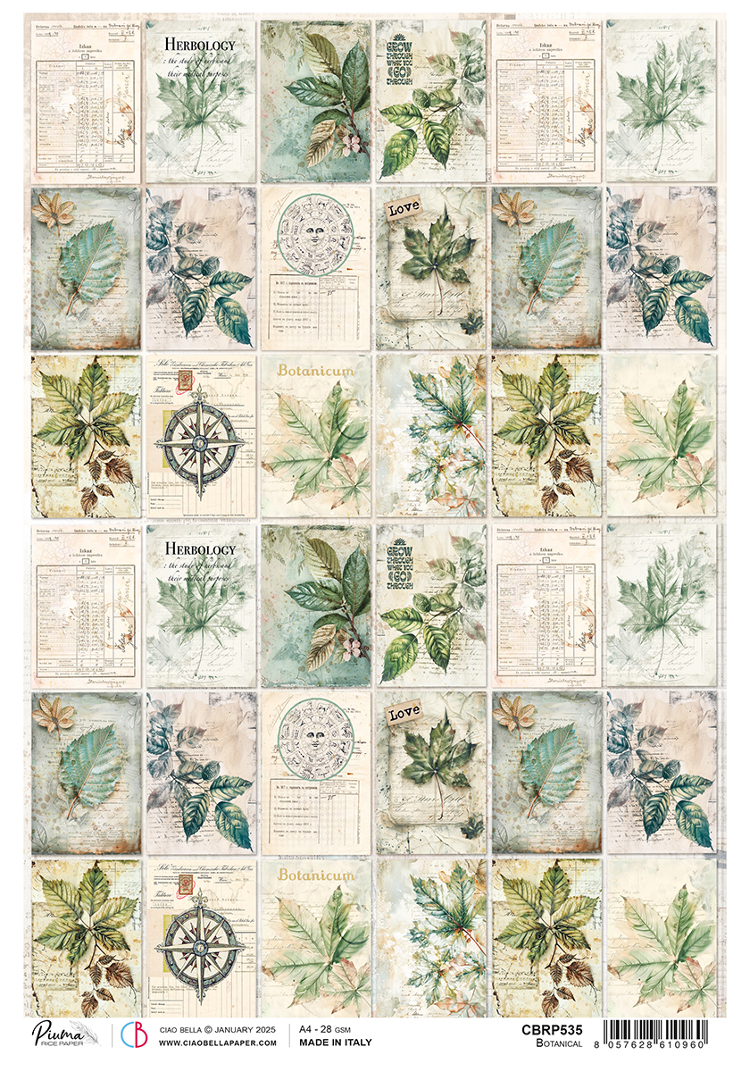 Green Botanical Rice Paper