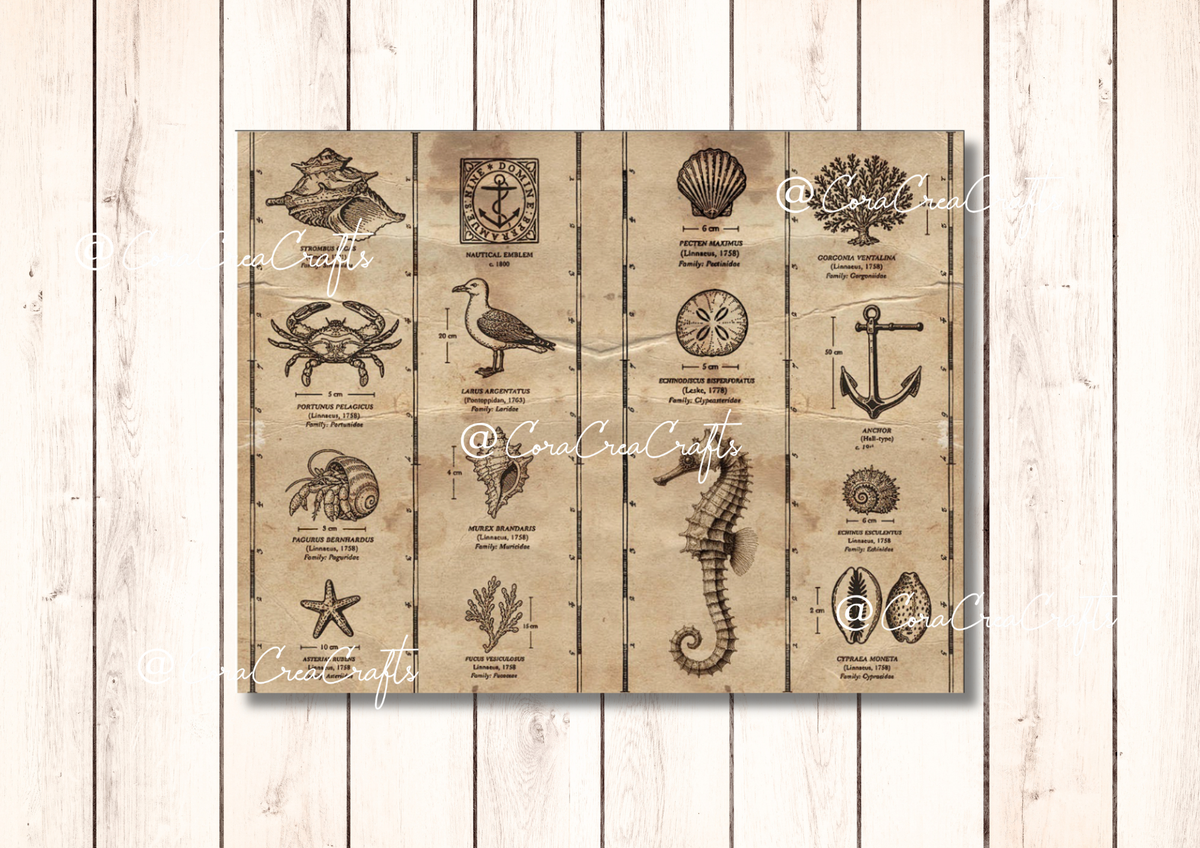 Summer Dream Digital Journal Kit