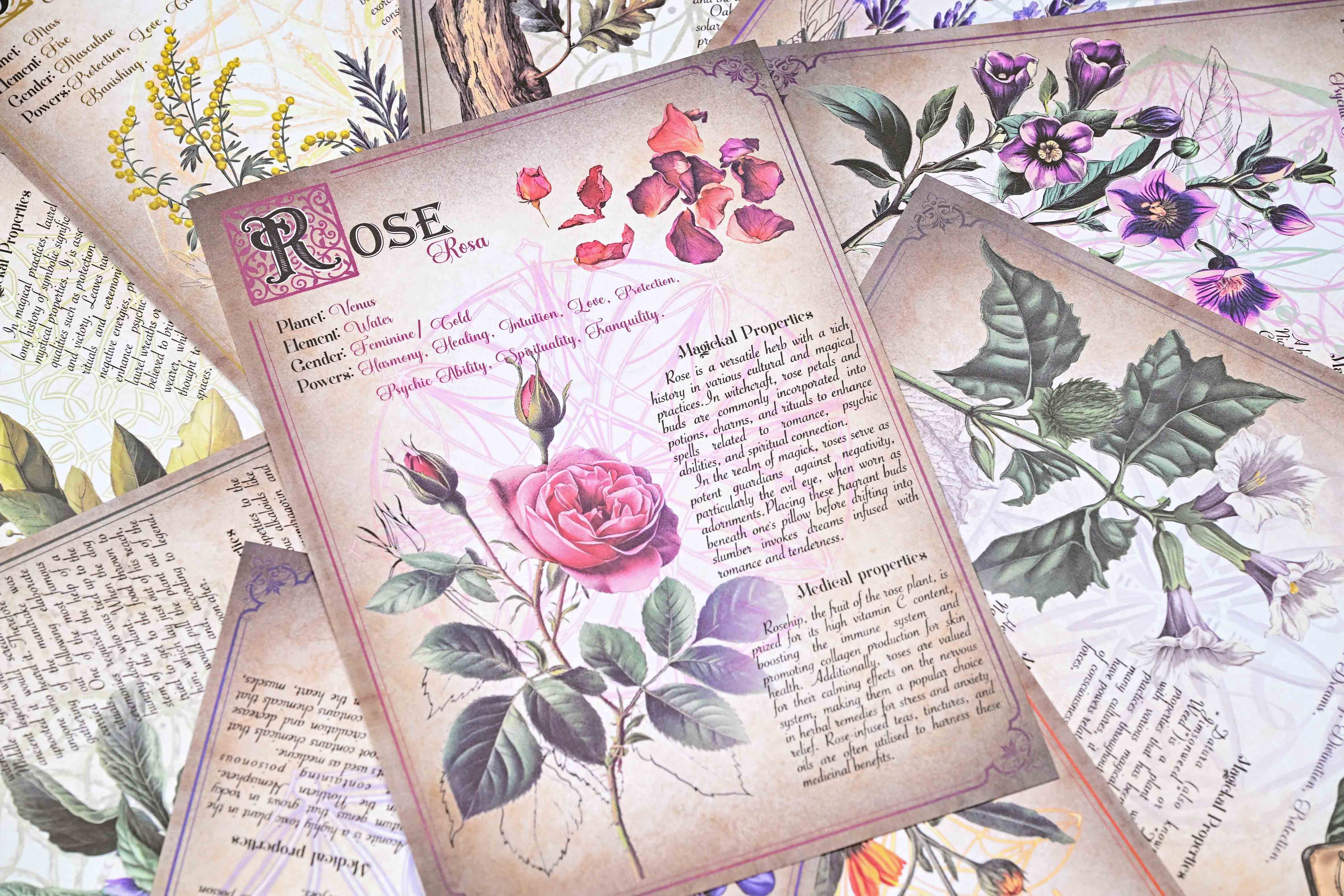 Herbal Magic Paper Set