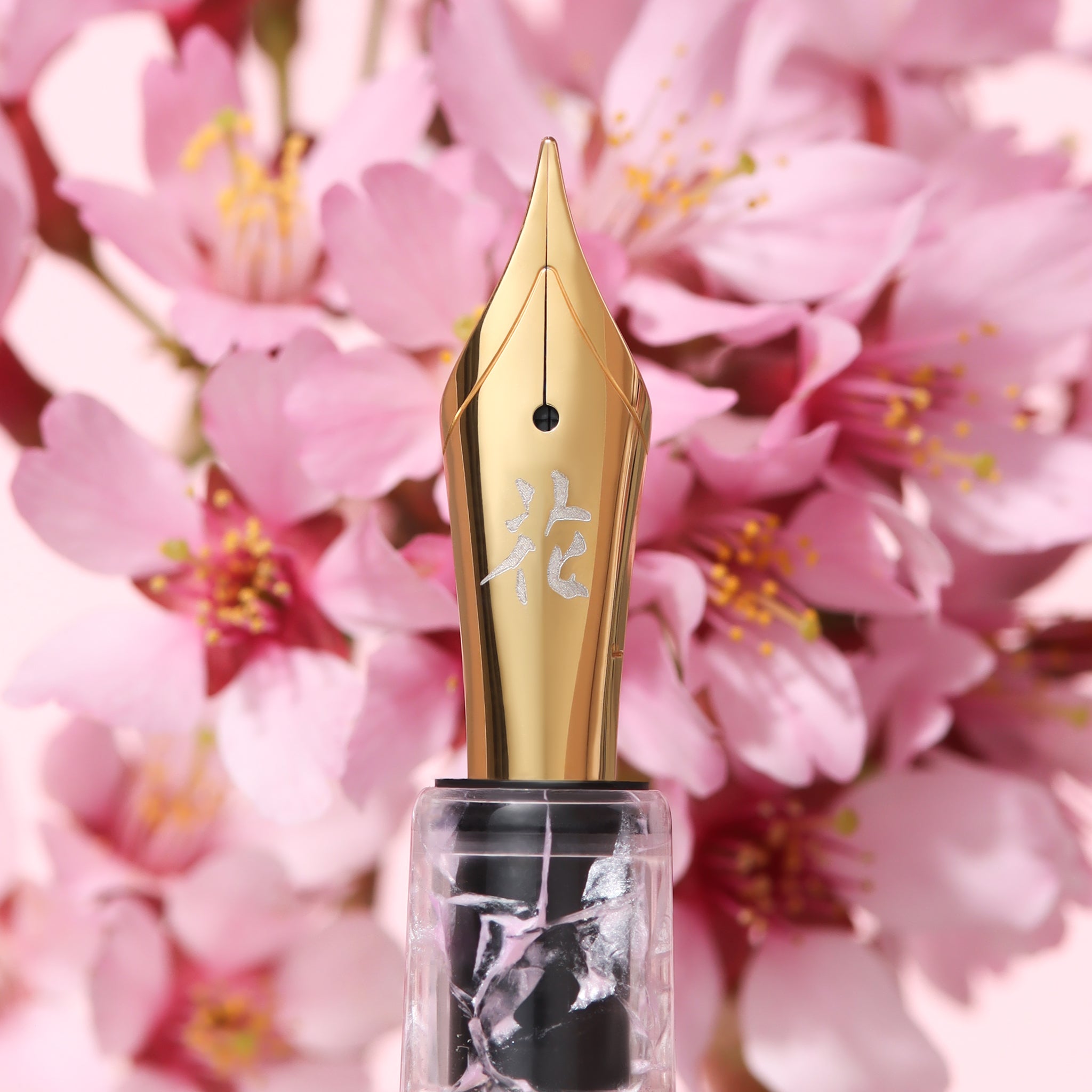 BUNGUBOX x Esterbrook Kachofugetsu Flower Fountain Pen - Cherry Blossom
