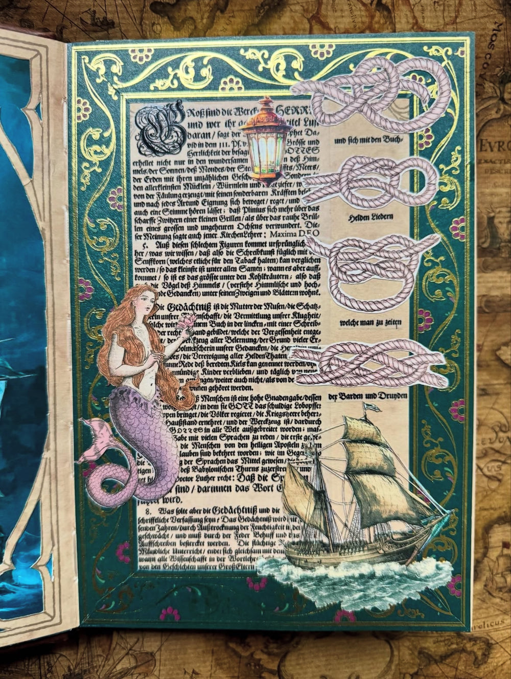 Mermaid & Wonders of the Sea Box