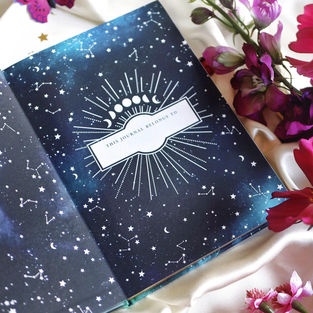 Luna Moth Journal Dotted - 6