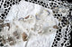 Animal Totem Transparent Tape