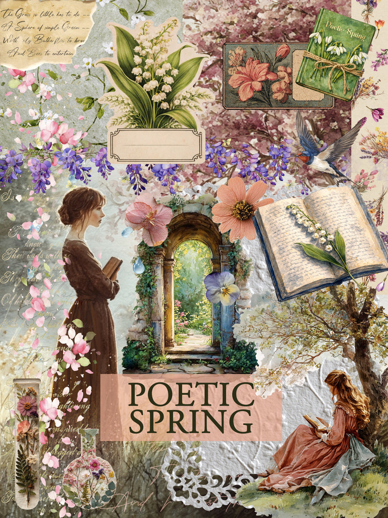 Curiosities Box - Bimonthly Subscription