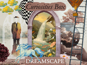 Curiosities Box - Bimonthly Subscription