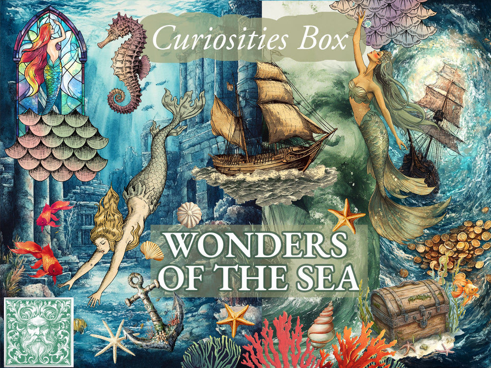 Curiosities Box - Bimonthly Subscription