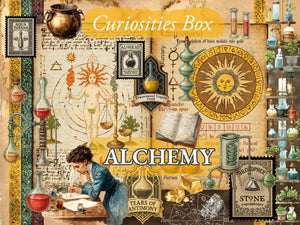 Curiosities Box - Bimonthly Subscription