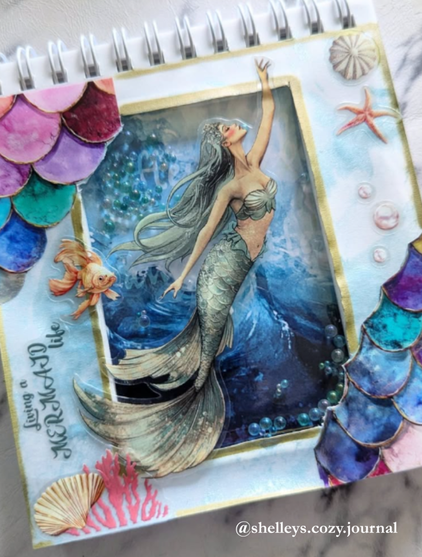 Mermaid & Wonders of the Sea Box