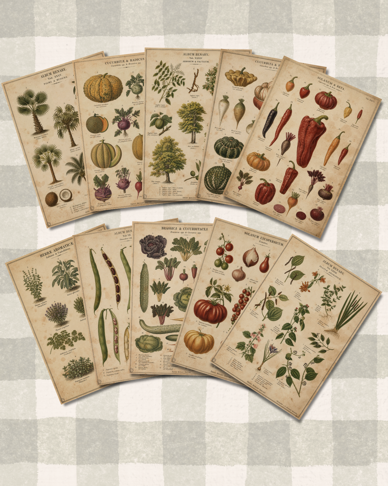 Vintage Farm & Garden Botanical Illustration Plates Paper Set