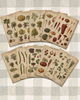 Vintage Farm & Garden Botanical Illustration Plates Paper Set