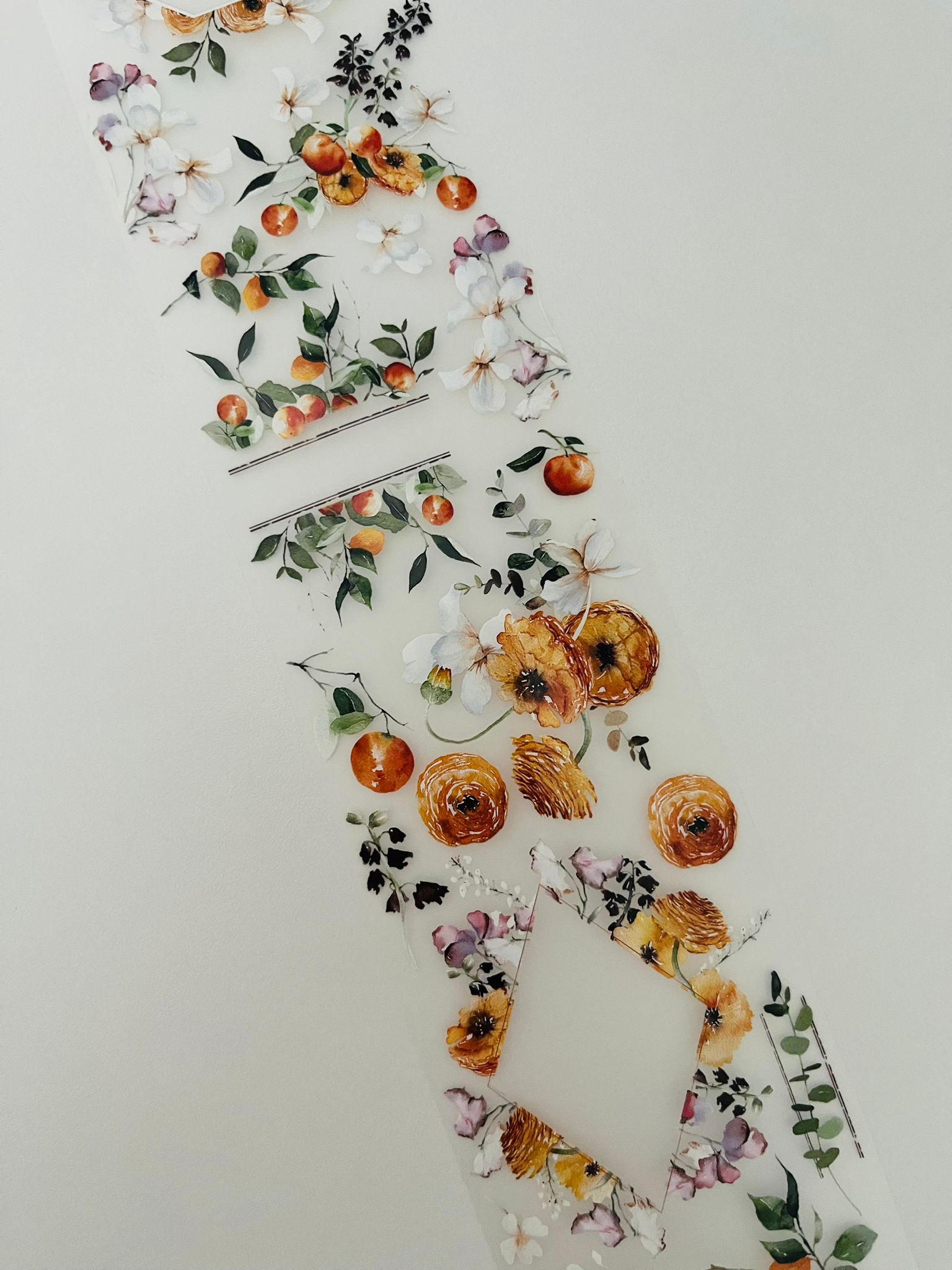 Tangerine Muse Tape Loop