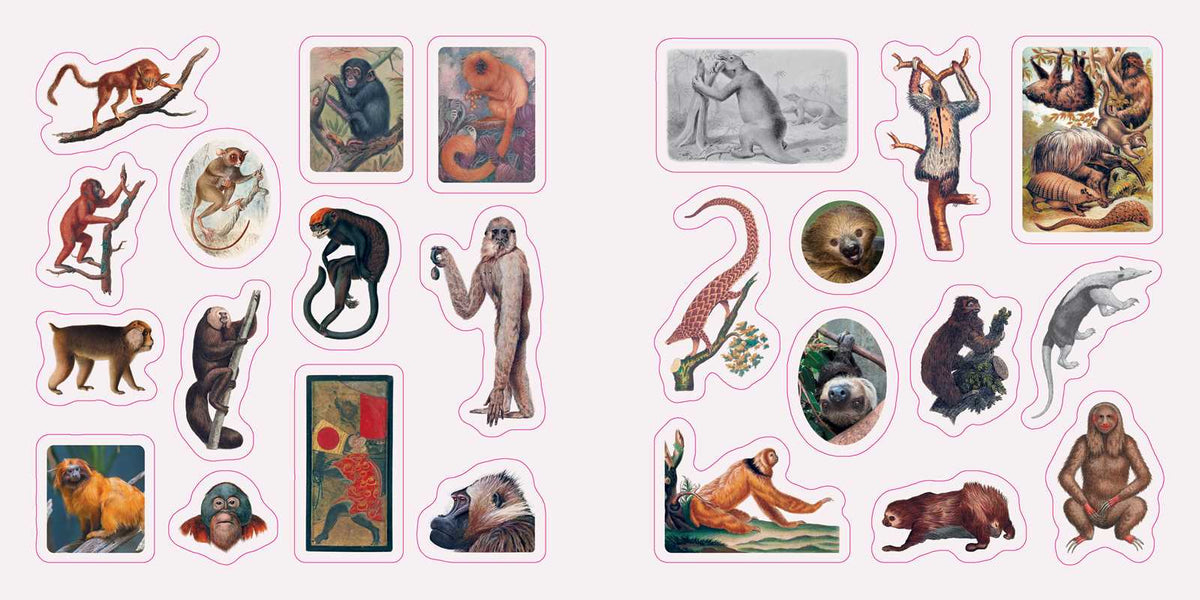 Fantastic Creatures: A Smithsonian Sticker Book by The Smithsonian Institution