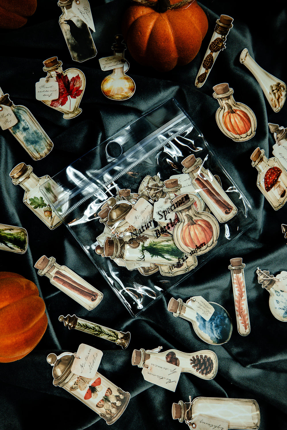 Nature Specimen Bottles Sticker Pack