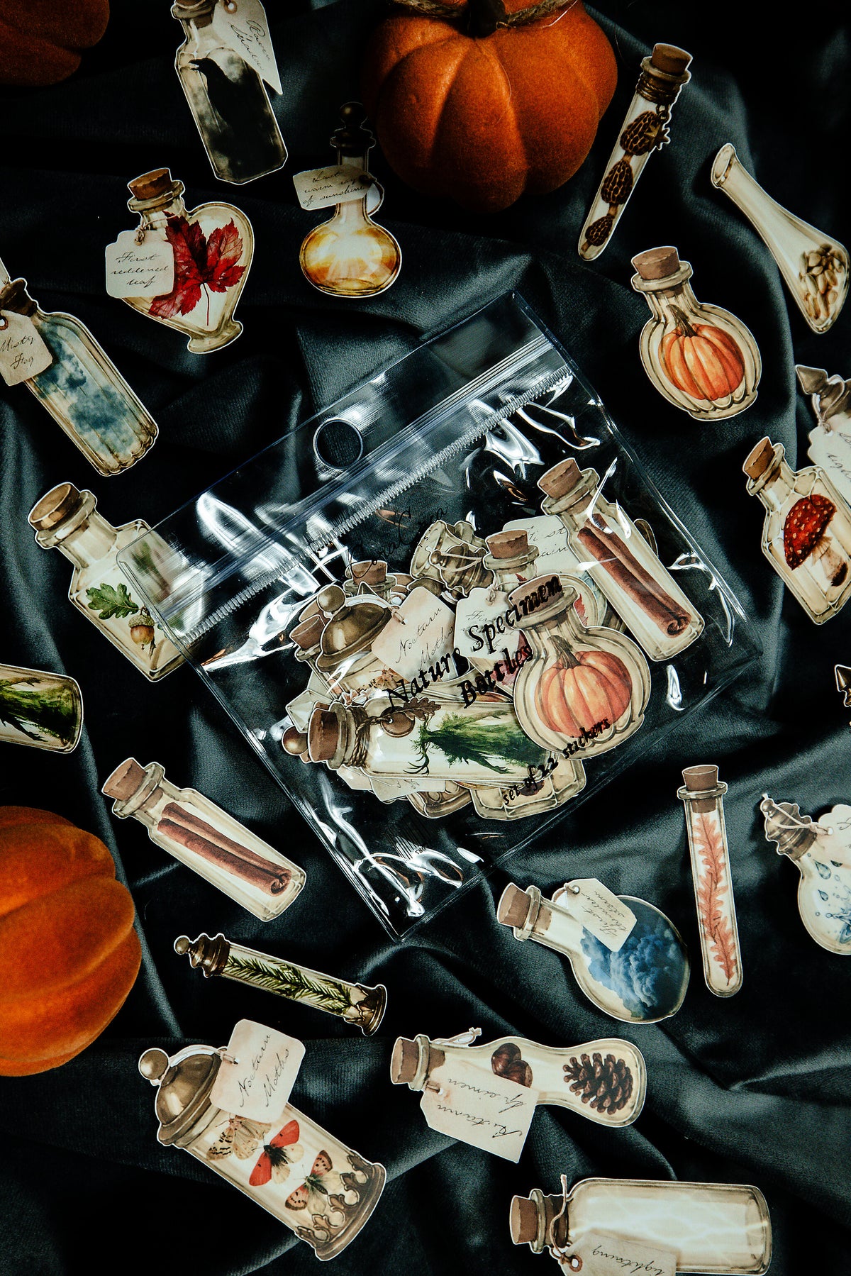 Nature Specimen Bottles Sticker Pack