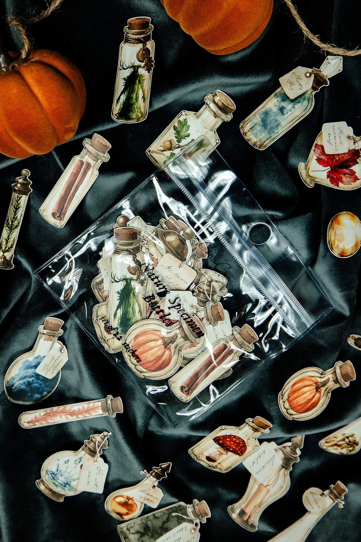 Nature Specimen Bottles Sticker Pack - 11