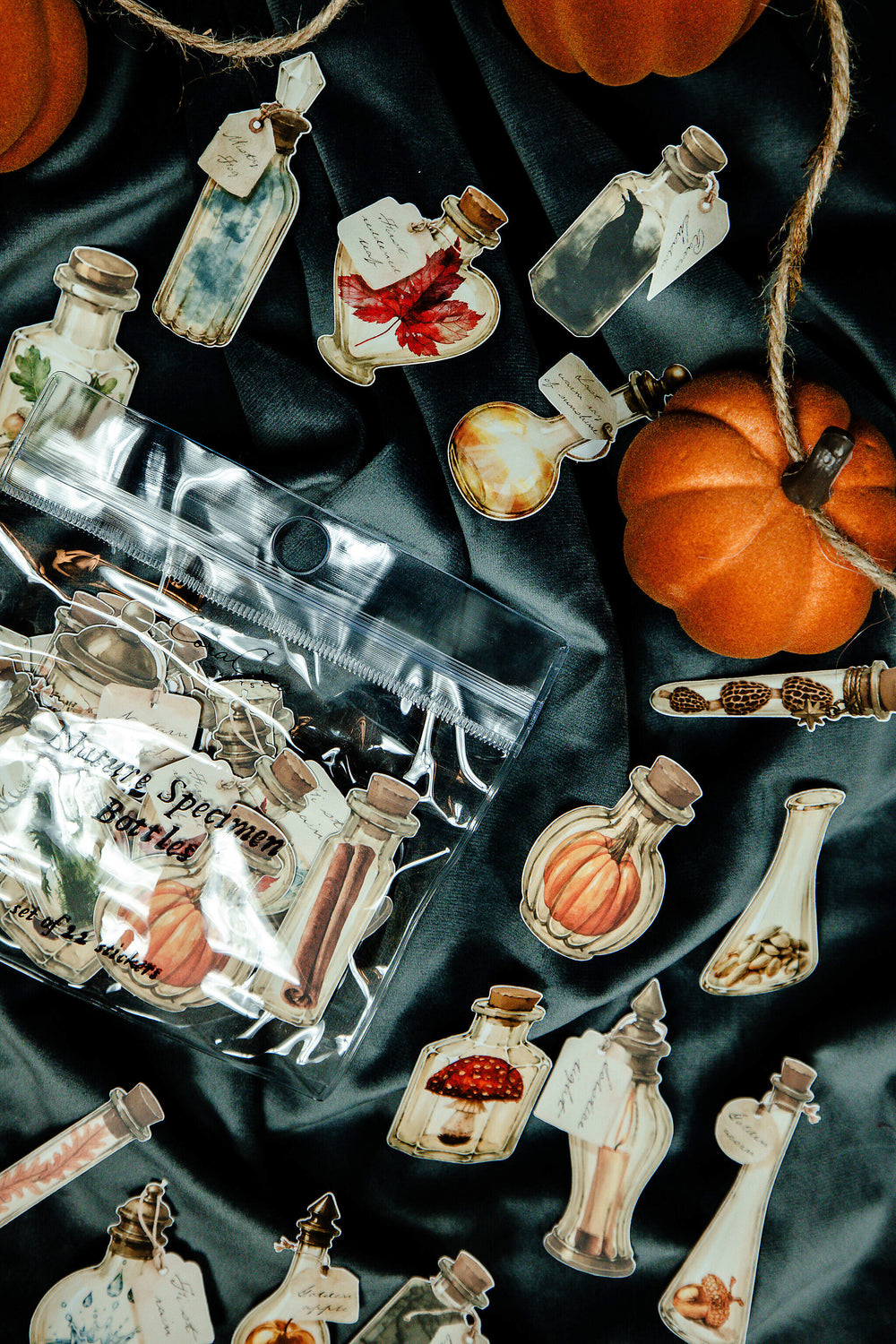 Nature Specimen Bottles Sticker Pack - 12