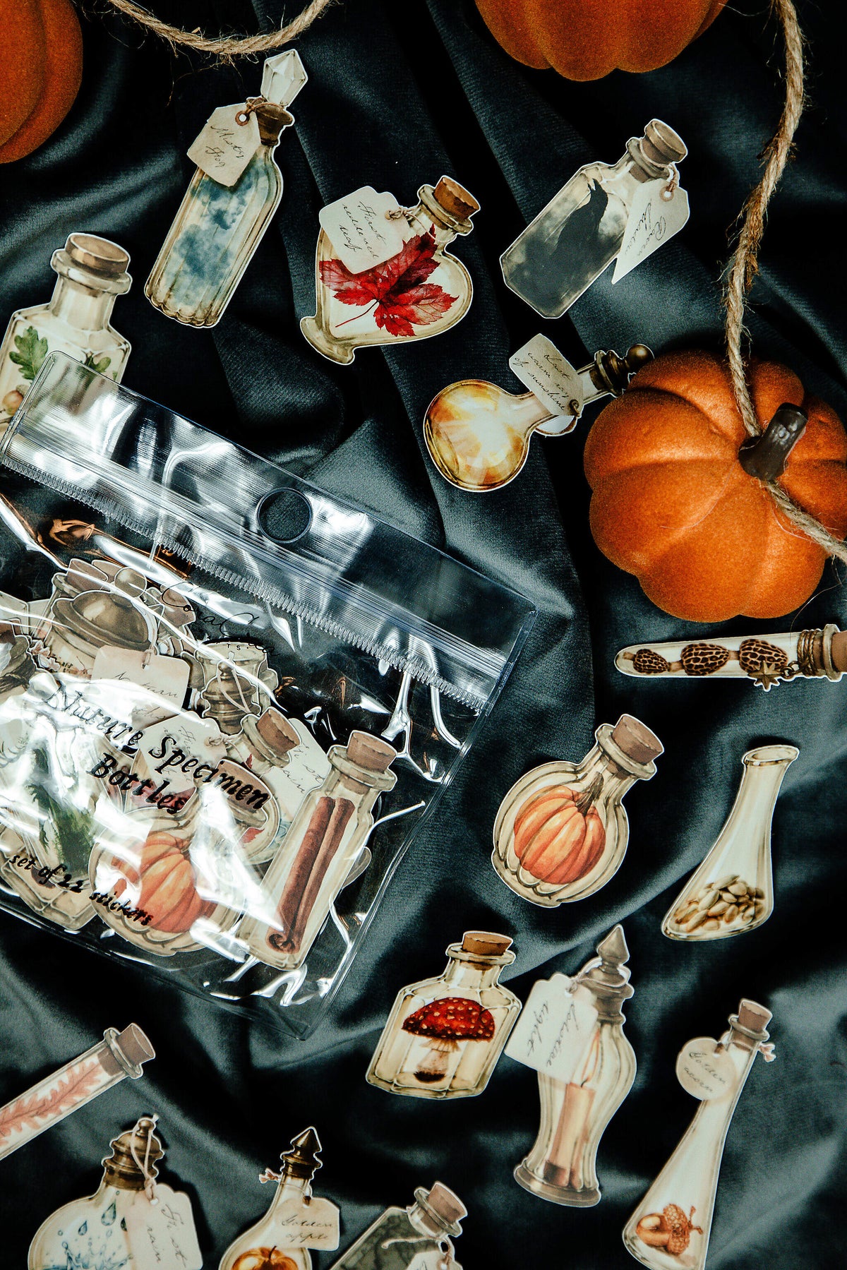 Nature Specimen Bottles Sticker Pack - 12