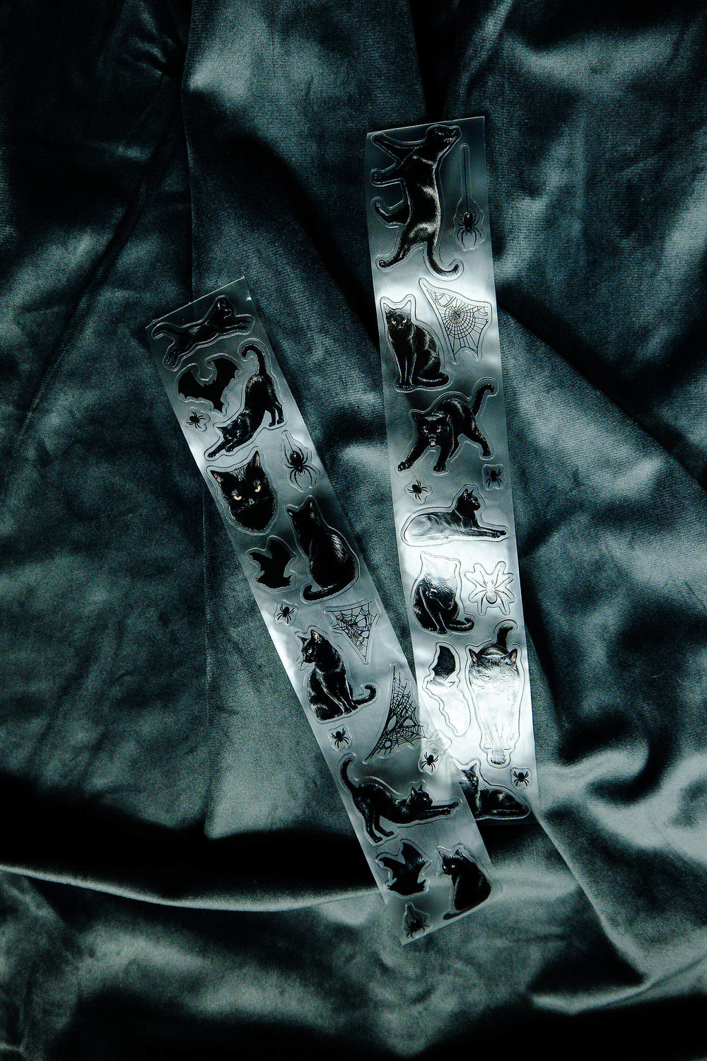 Midnight Familiars Transparent Tape - 139