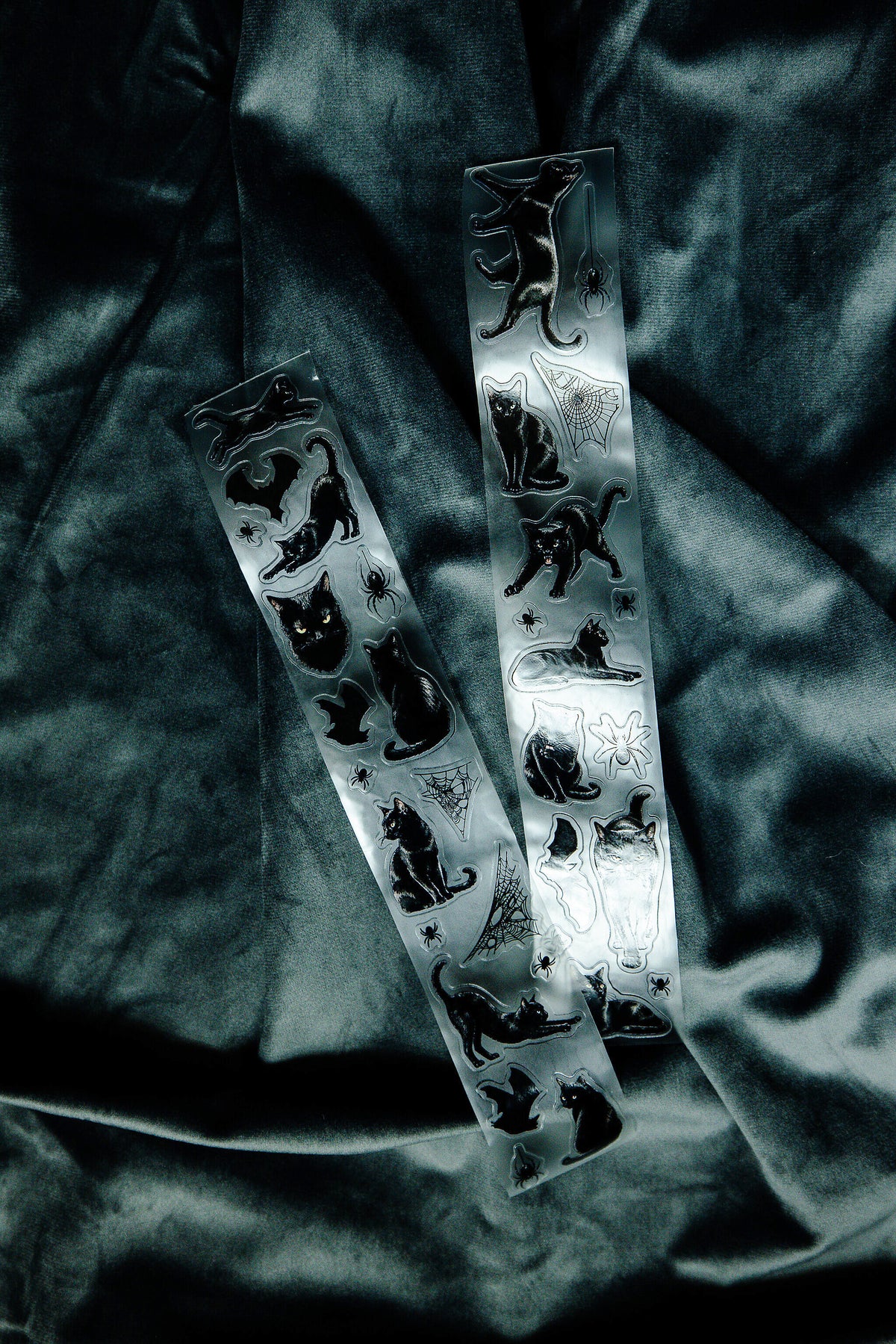Midnight Familiars Transparent Tape - 139