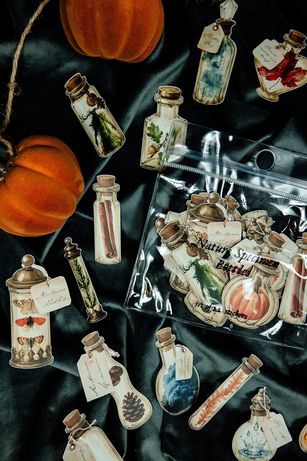 Nature Specimen Bottles Sticker Pack - 13