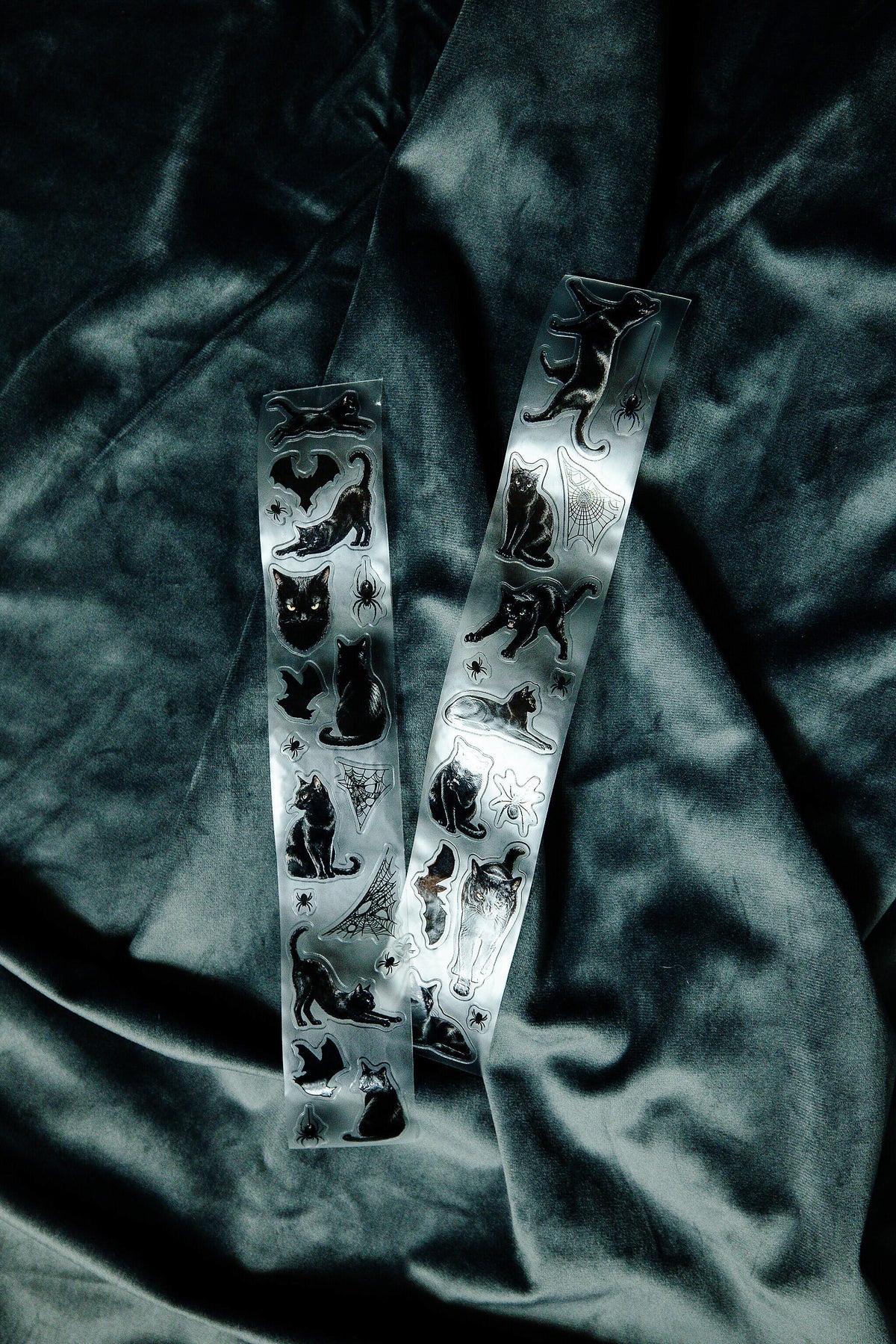 Midnight Familiars Transparent Tape - 140