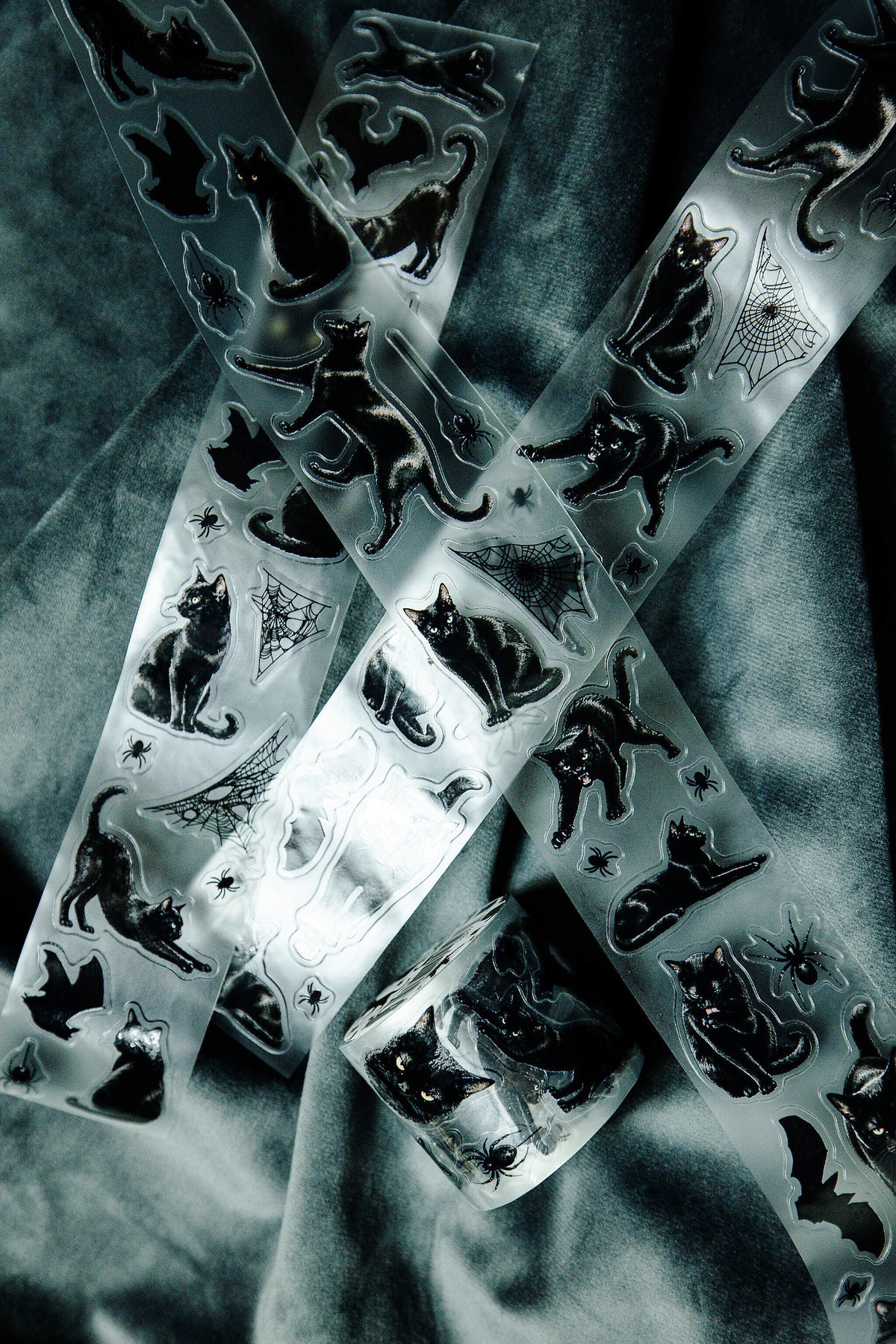Midnight Familiars Transparent Tape - 144