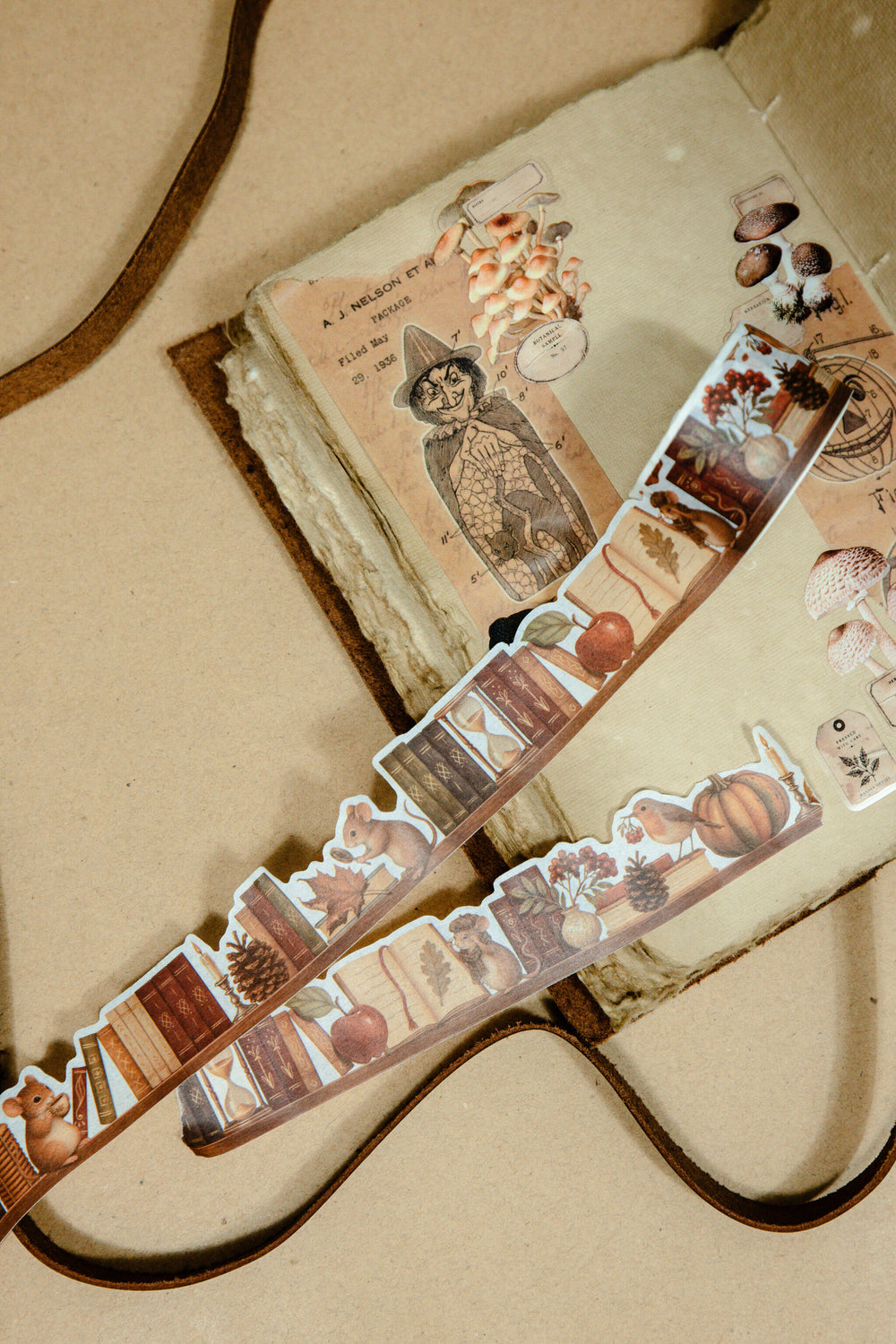 Fall On The Shelf Cutout Tape - 156