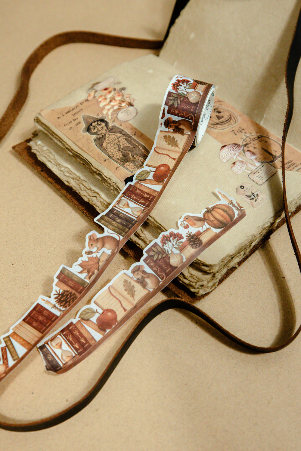 Fall On The Shelf Cutout Tape - 157