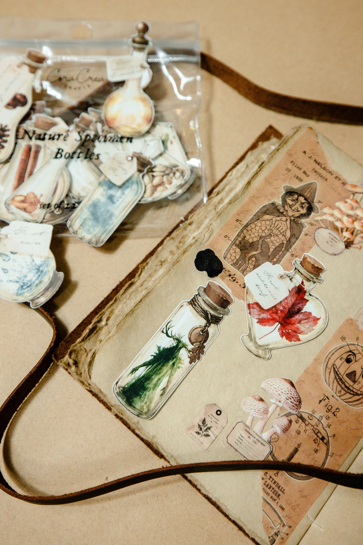 Nature Specimen Bottles Sticker Pack - 160