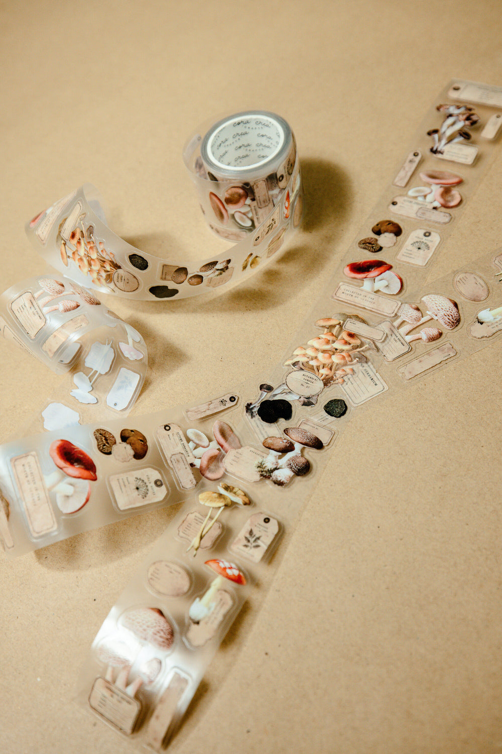 Mushroom Specimen Transparent Tape - 169