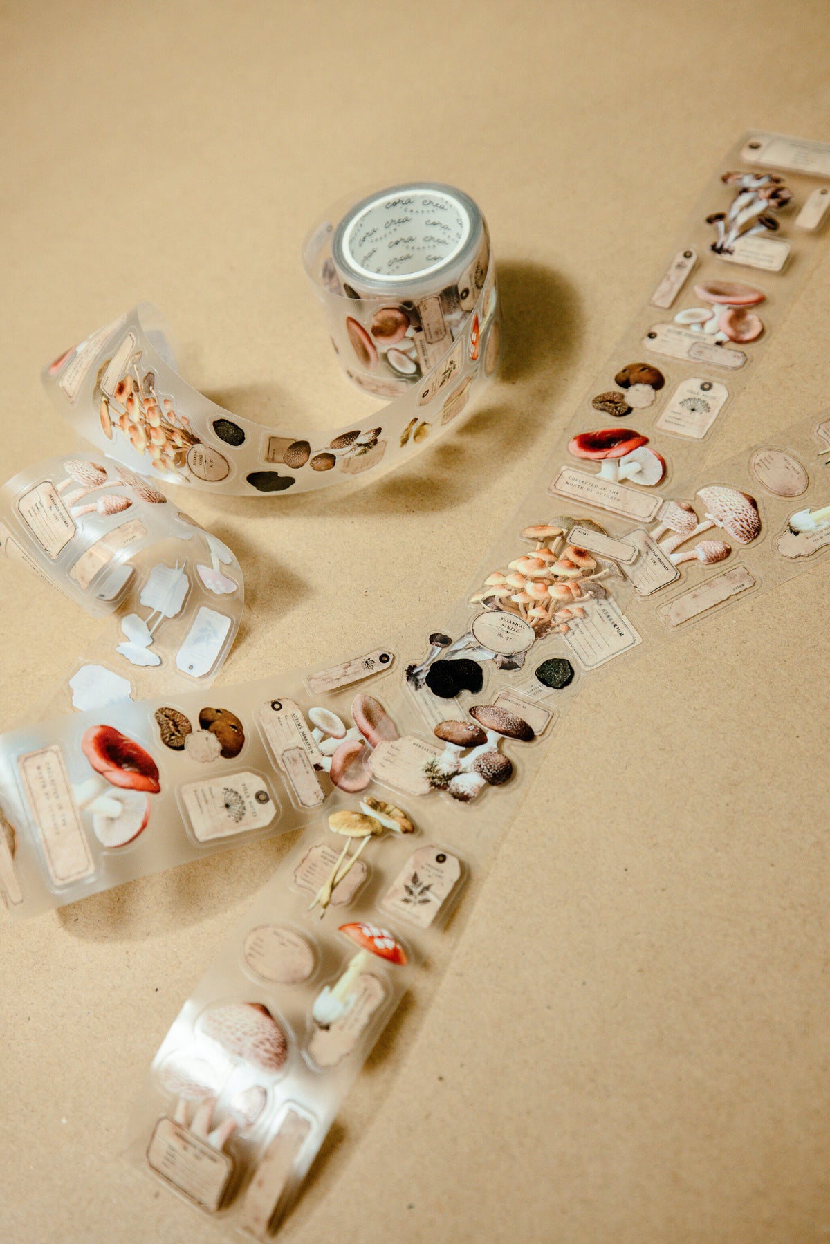 Mushroom Specimen Transparent Tape - 169