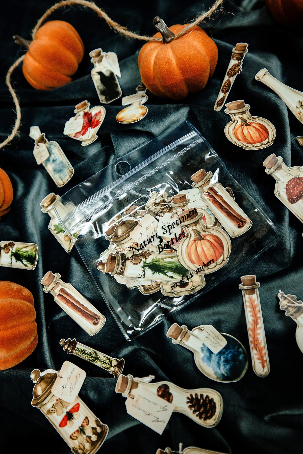 Nature Specimen Bottles Sticker Pack - 16