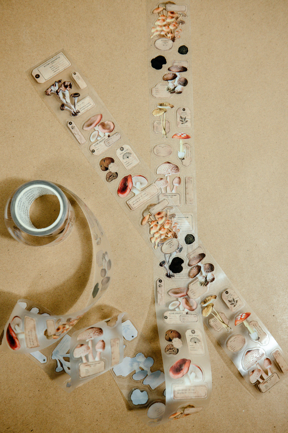 Mushroom Specimen Transparent Tape - 172