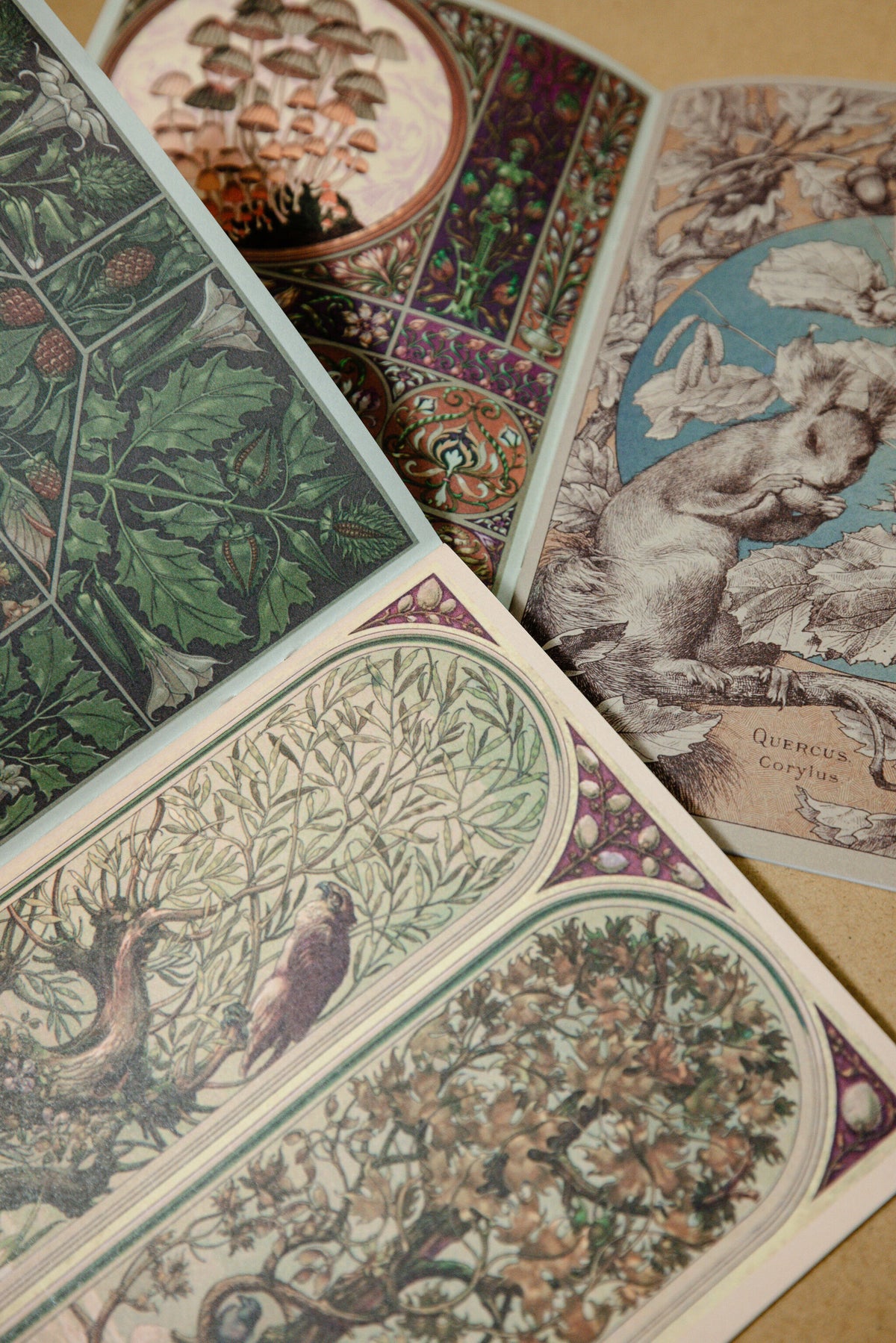 Woodland Tapestry Paper Booklet - 184