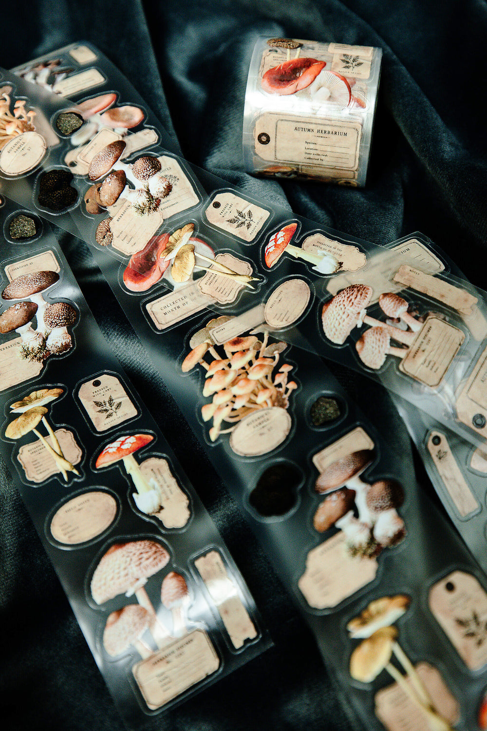 Mushroom Specimen Transparent Tape - 89