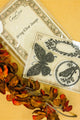 Spring Clear Stamps