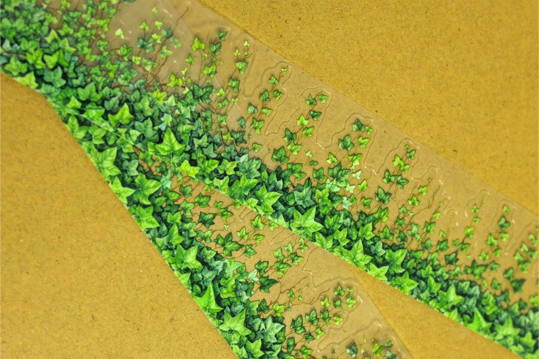 Ivy Transparent Cutout Tape