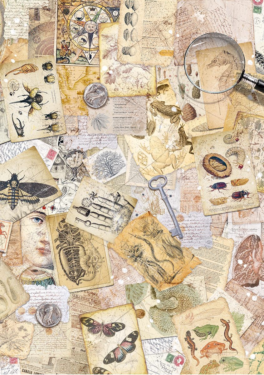Apothecary Mysteries Rice Paper Pack