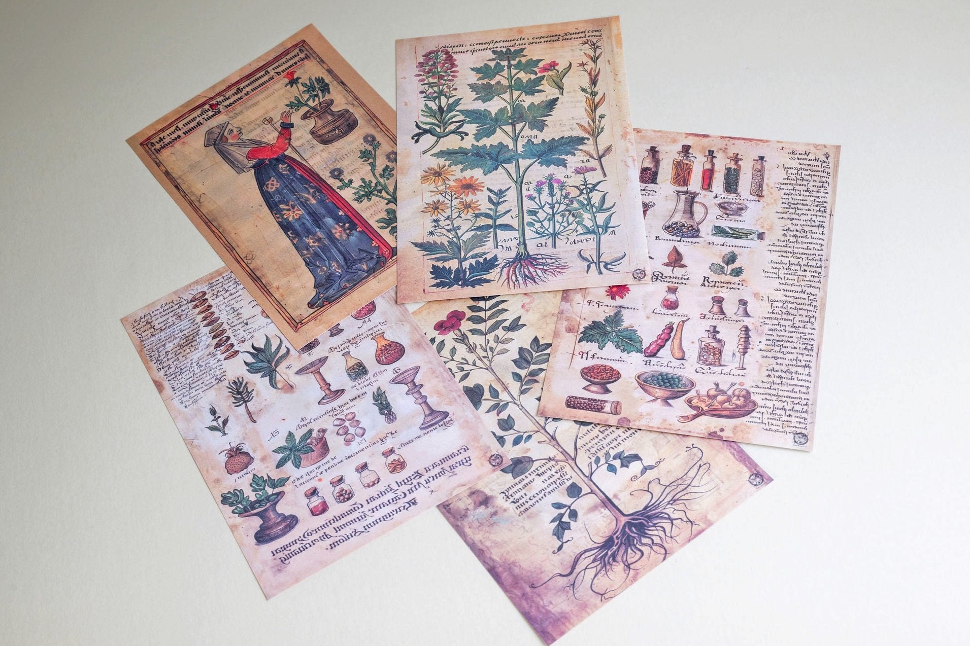 Medicinal Manuscript Paper Set