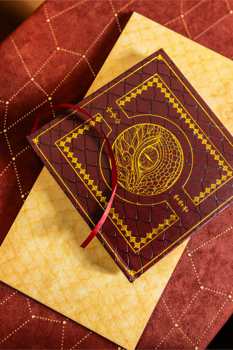 Dragon Eye Notebook